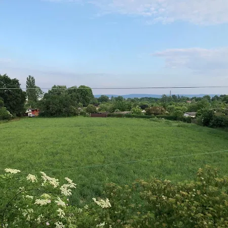 Appartement Einmalige Moderne Naturoase Mitten In Der Stadt